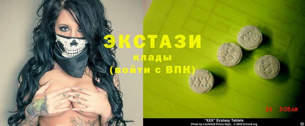 стаф Алзамай