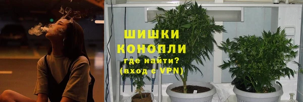 ешки Алексеевка