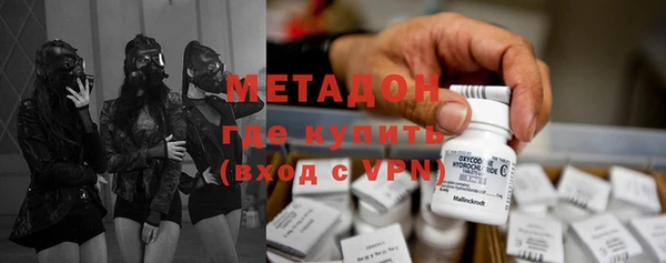 стаф Алзамай