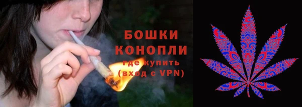 ешки Алексеевка