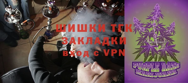 стаф Алзамай