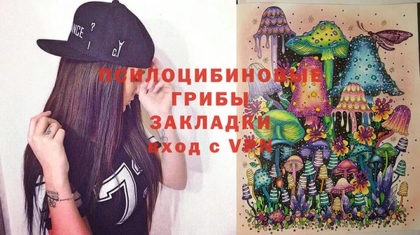 стаф Алзамай