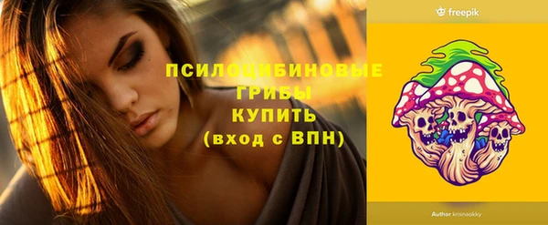 стаф Алзамай