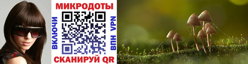 Псилоцибиновые грибы ЛСД  наркота  Анапа 